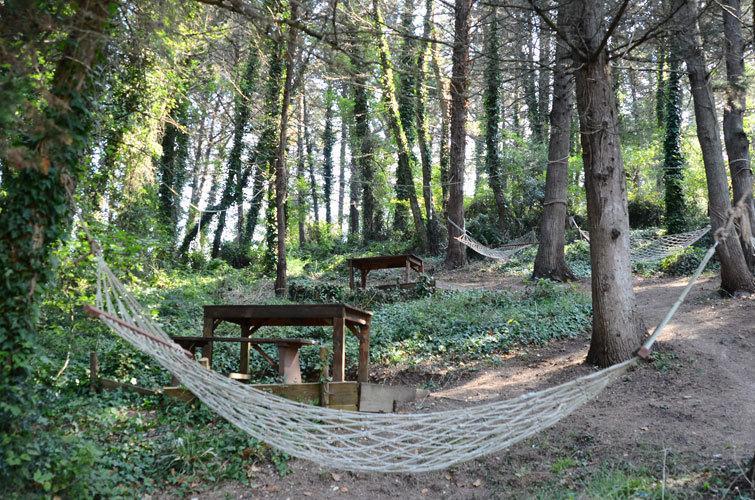 Ekoland Hotel Ağva Kültér fotó