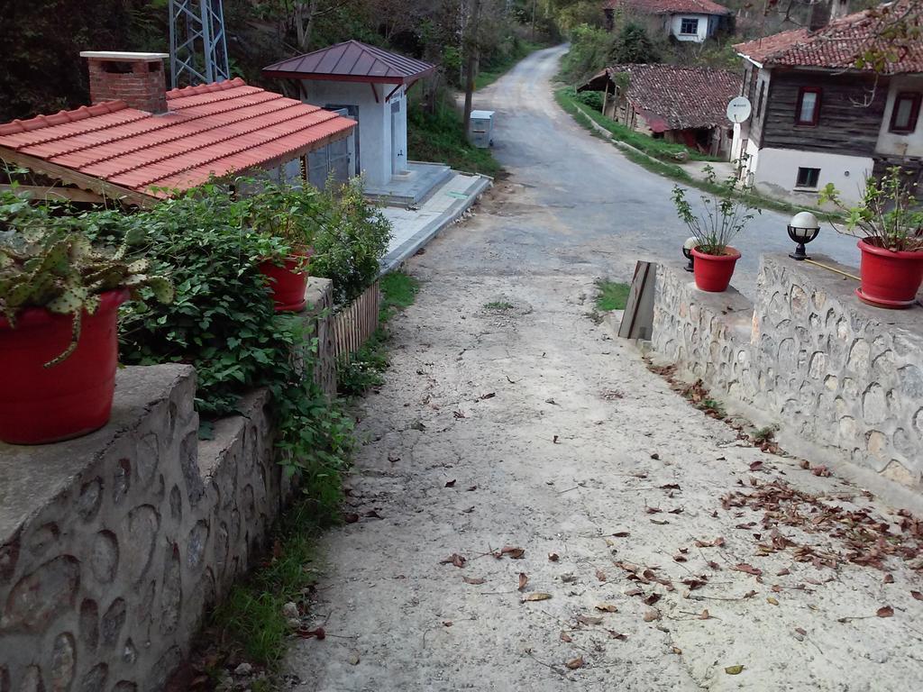 Ekoland Hotel Ağva Kültér fotó