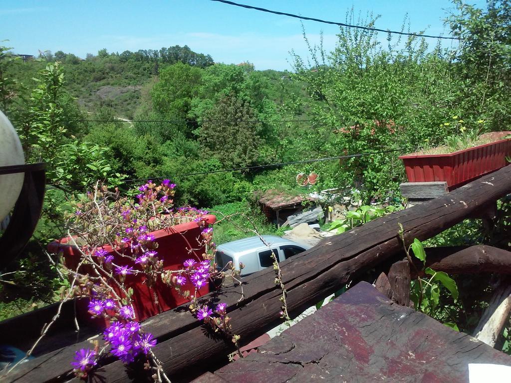 Ekoland Hotel Ağva Kültér fotó