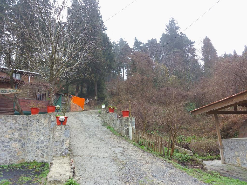 Ekoland Hotel Ağva Kültér fotó