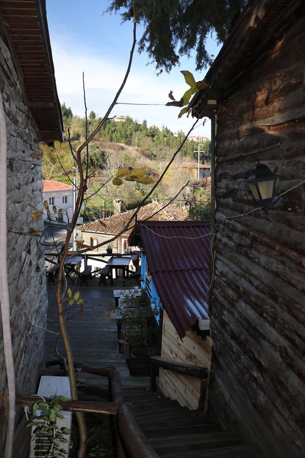 Ekoland Hotel Ağva Kültér fotó