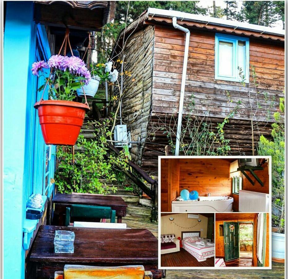 Ekoland Hotel Ağva Kültér fotó