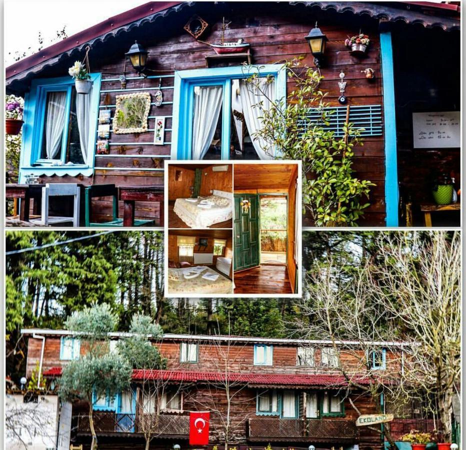 Ekoland Hotel Ağva Kültér fotó