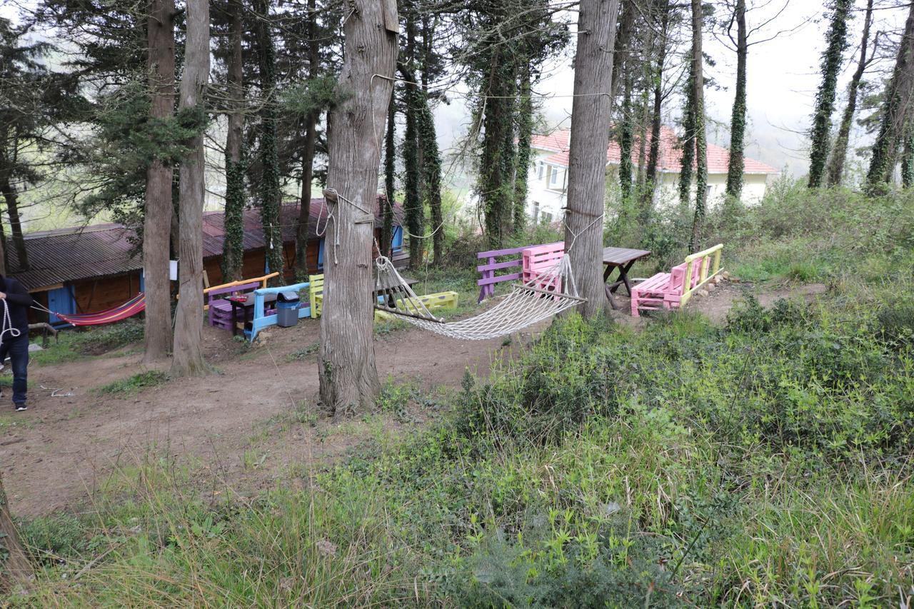 Ekoland Hotel Ağva Kültér fotó